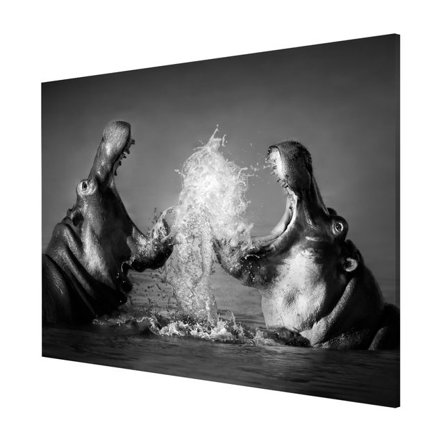 Magnettafel - Hippo Fight - Memoboard Quer