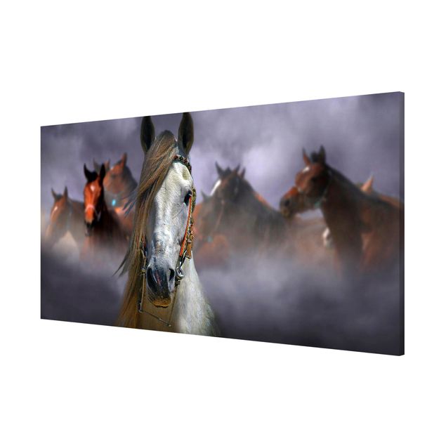 Magnettafel - Horses in the Dust - Memoboard Panorama Querformat