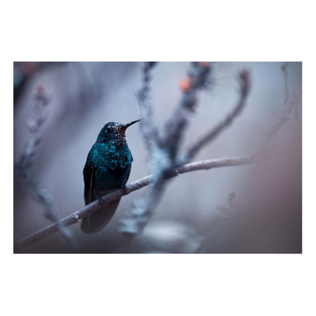 Magnettafel - Kolibri im Winter - Memoboard Quer