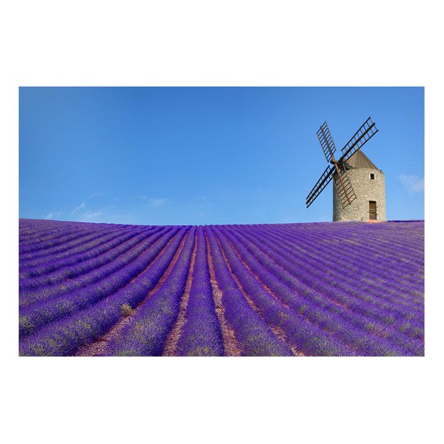 Magnettafel - Lavendelduft in der Provence - Memoboard Quer