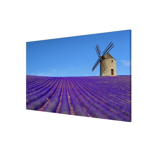 Magnettafel - Lavendelduft in der Provence - Memoboard Quer