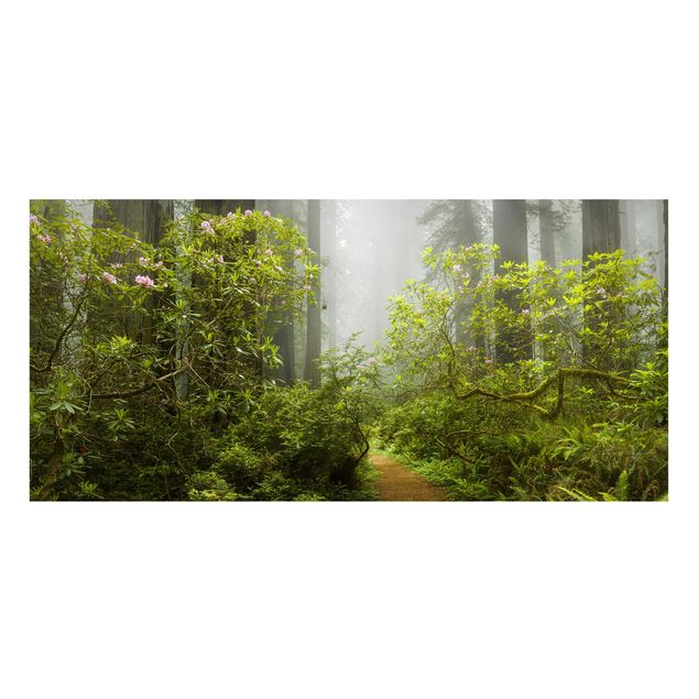 Magnettafel - Nebliger Waldpfad - Memoboard Panorama Querformat