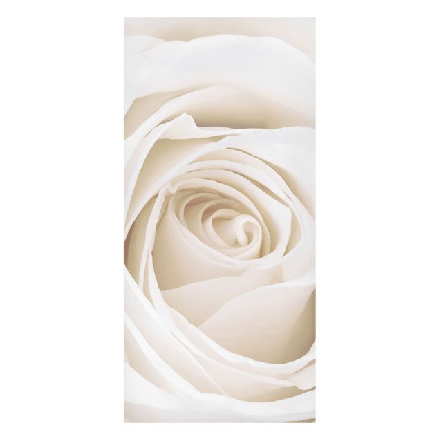Magnettafel - Pretty White Rose - Blumenbild Memoboard Panorama Hoch