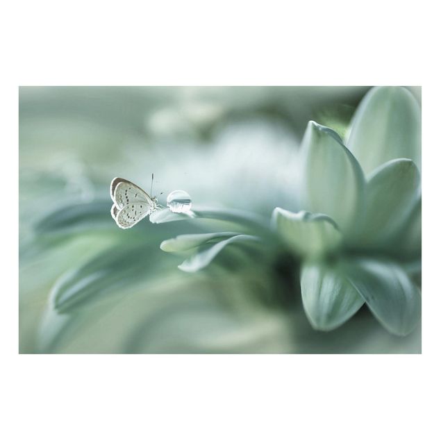 Magnettafel - Schmetterling und Tautropfen in Pastellgrün - Memoboard Querformat 2:3