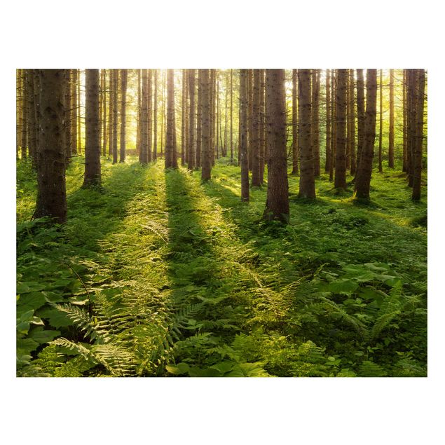 Magnettafel - Sonnenstrahlen in grünem Wald - Memoboard Hoch