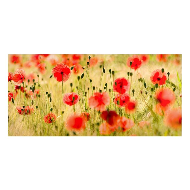 Magnettafel - Summer Poppies - Memoboard Panorama Quer