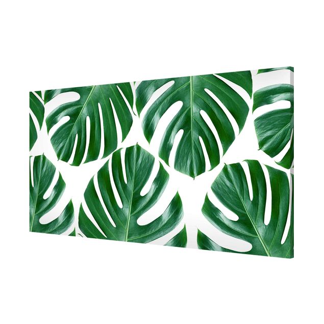 Magnettafel - Tropische grüne Blätter Monstera - Memoboard Panorama Querformat