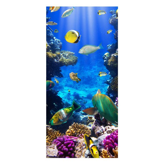 Magnettafel - Underwater Dreams - Memoboard Panorama Hoch