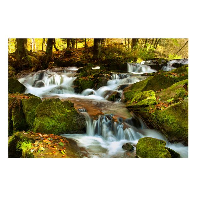 Magnettafel - Wasserfall herbstlicher Wald - Memoboard Hoch