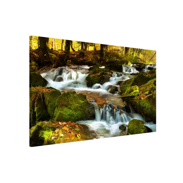 Magnettafel - Wasserfall herbstlicher Wald - Memoboard Panorama Quer