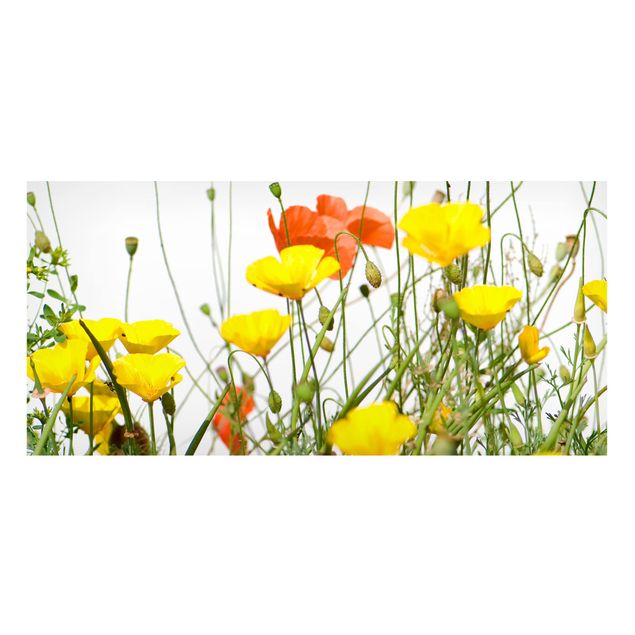 Magnettafel - Wild Flowers - Memoboard Panorama Quer