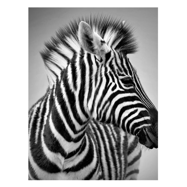 Magnettafel - Zebra Baby Portrait II - Memoboard Hoch