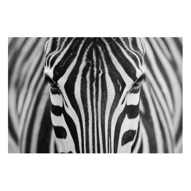 Magnettafel - Zebra Look - Memoboard Quer