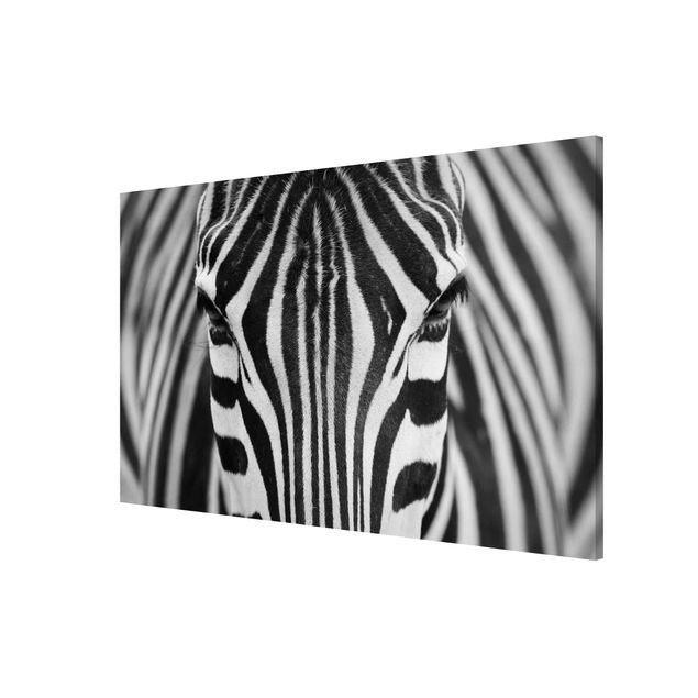 Magnettafel - Zebra Look - Memoboard Quer