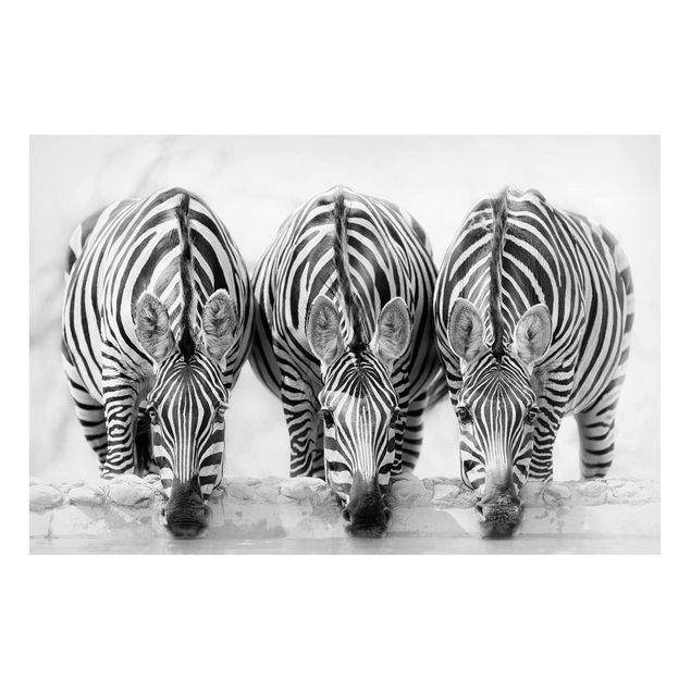 Magnettafel - Zebra Trio schwarz-weiß - Memoboard Querformat 2:3