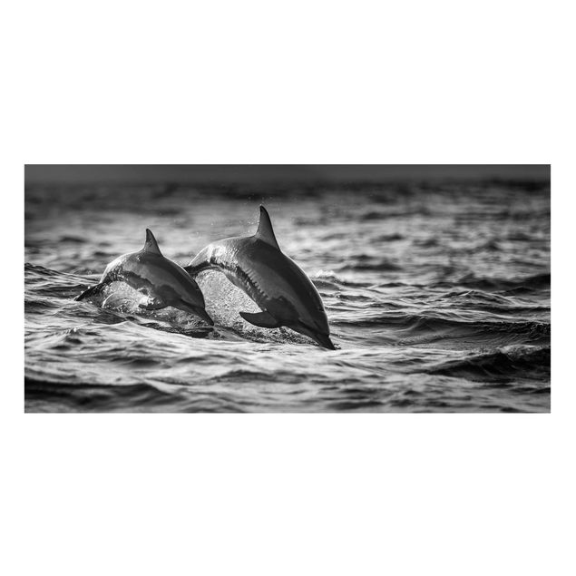 Magnettafel - Zwei springende Delfine - Memoboard Panorama Querformat 1:2