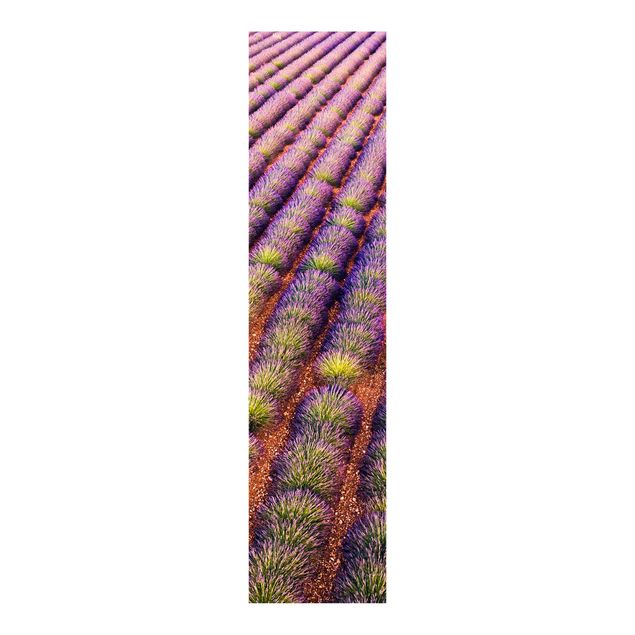 Schiebegardine - Malerisches Lavendelfeld