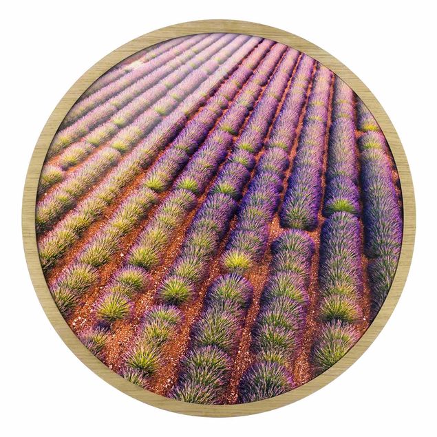 Rundes Gerahmtes Bild - Malerisches Lavendelfeld