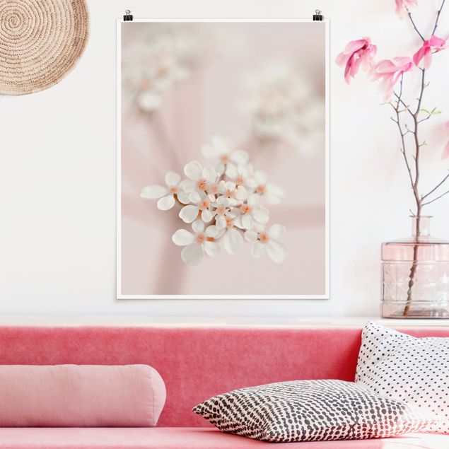 Poster - Miniblüten im Rosanen Licht - Hochformat 3:4