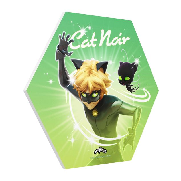 Hexagon-Forexbild - Miraculous Cat Noir und Plagg