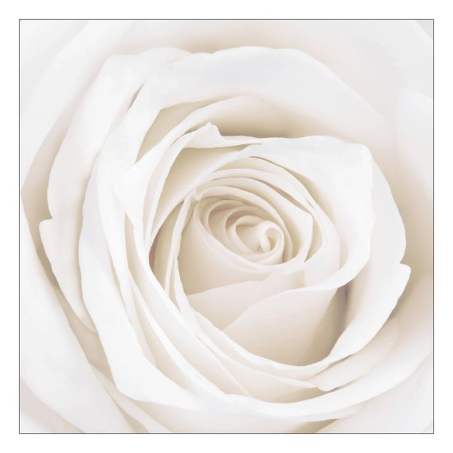 Möbelfolie für IKEA Lack - Klebefolie Pretty White Rose