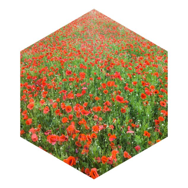 Hexagon Mustertapete selbstklebend - Mohnblumenfeld