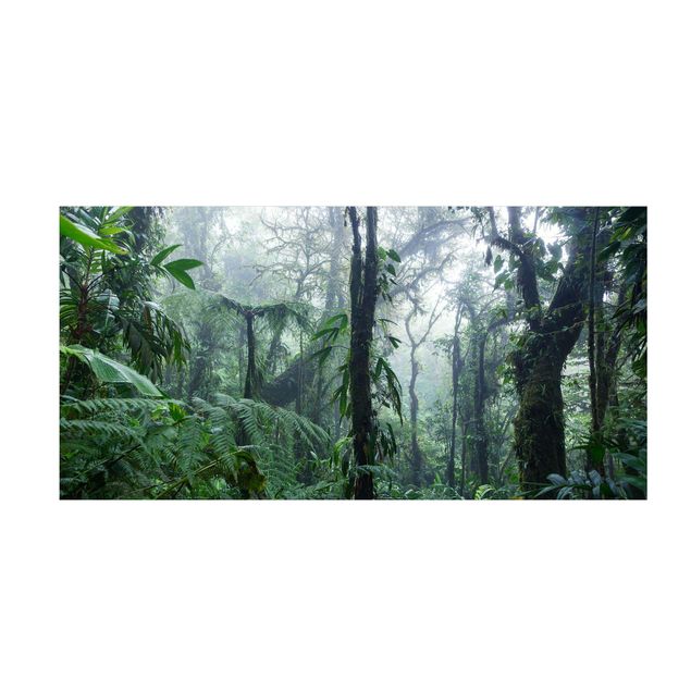 Teppich Natur Monteverde Nebelwald