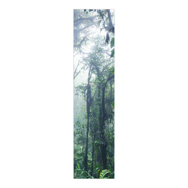 Schiebegardine - Monteverde Nebelwald