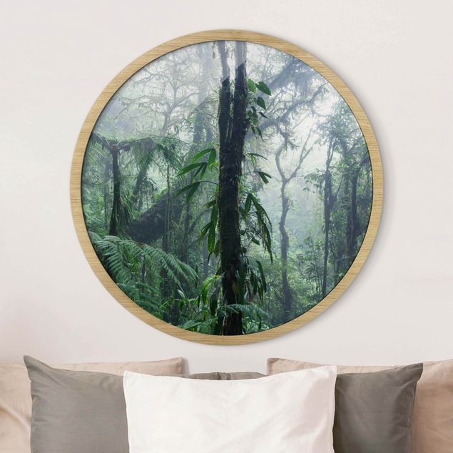 Runde gerahmte Bilder Monteverde Nebelwald