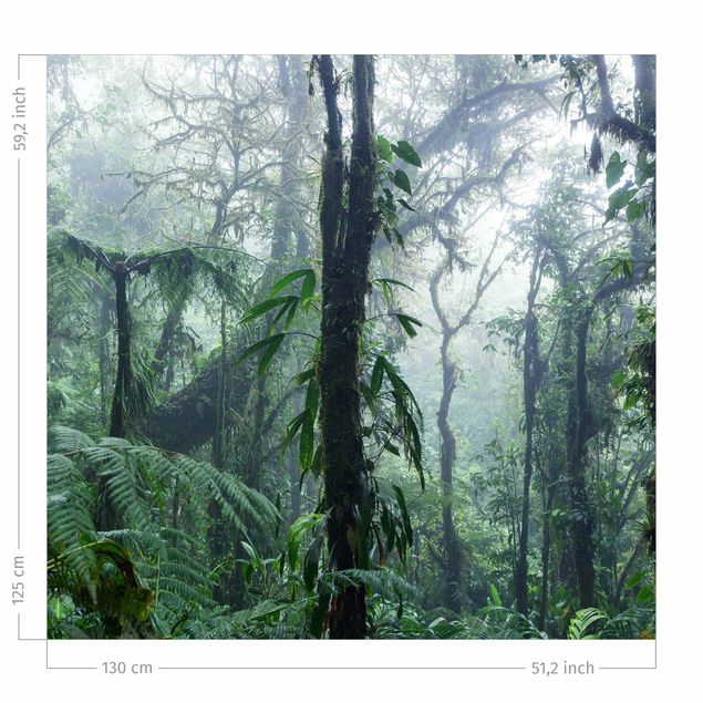 Vorhänge Wald Monteverde Nebelwald