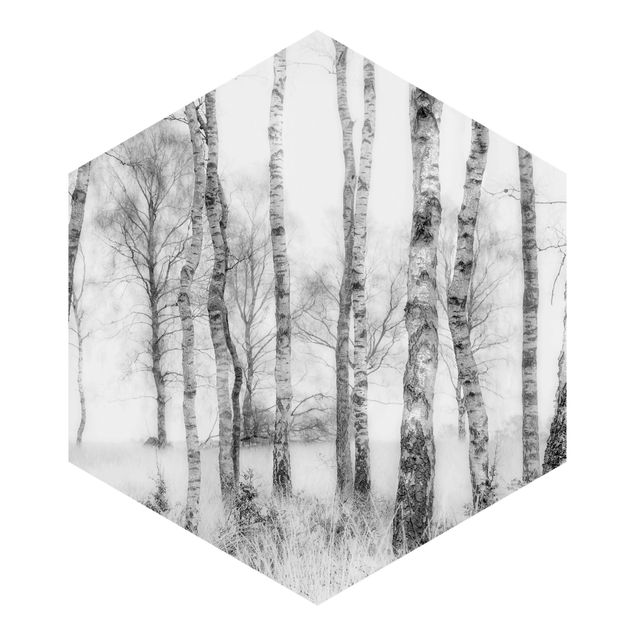 Hexagon Mustertapete selbstklebend - Mystischer Birkenwald Schwarz-Weiß