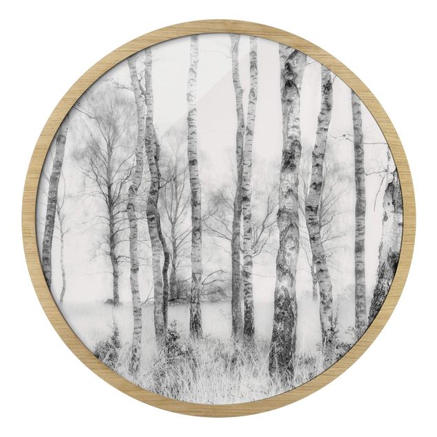 Rundes Gerahmtes Bild - Mystischer Birkenwald Schwarz-Weiß