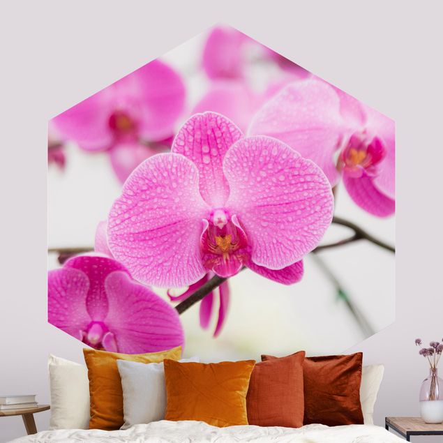 Hexagon Mustertapete selbstklebend - Nahaufnahme Orchidee