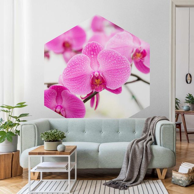 Hexagon Mustertapete selbstklebend - Nahaufnahme Orchidee
