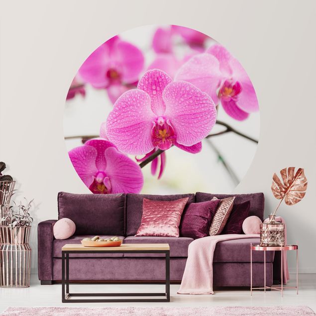 Runde Tapete selbstklebend - Nahaufnahme Orchidee