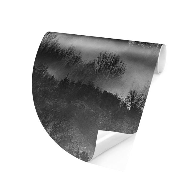 Runde Tapete selbstklebend - Nebel bei Sonnenuntergang Schwarz Weiß