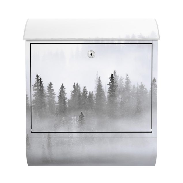 Briefkasten - Nebel im Tannenwald Schwarz-Weiß