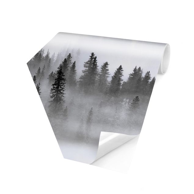 Hexagon Mustertapete selbstklebend - Nebel im Tannenwald Schwarz-Weiß