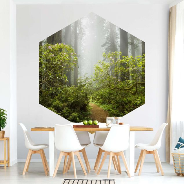 Hexagon Mustertapete selbstklebend - Nebliger Waldpfad