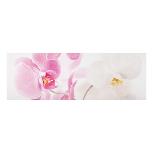 Alu-Dibond Bild - Delicate Orchids