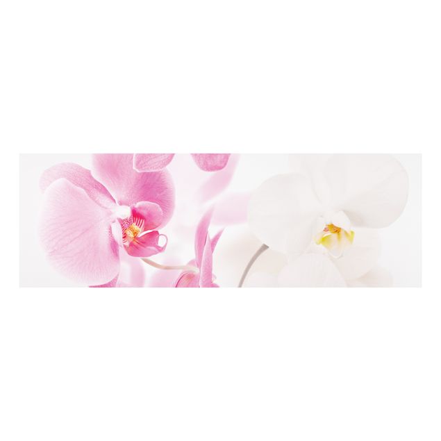 Forexbild - Delicate Orchids