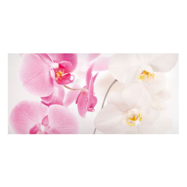 Magnettafel - Delicate Orchids - Blumenbild Memoboard Panorama Quer