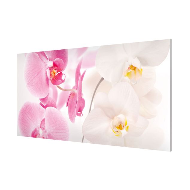 Magnettafel - Delicate Orchids - Blumenbild Memoboard Panorama Quer
