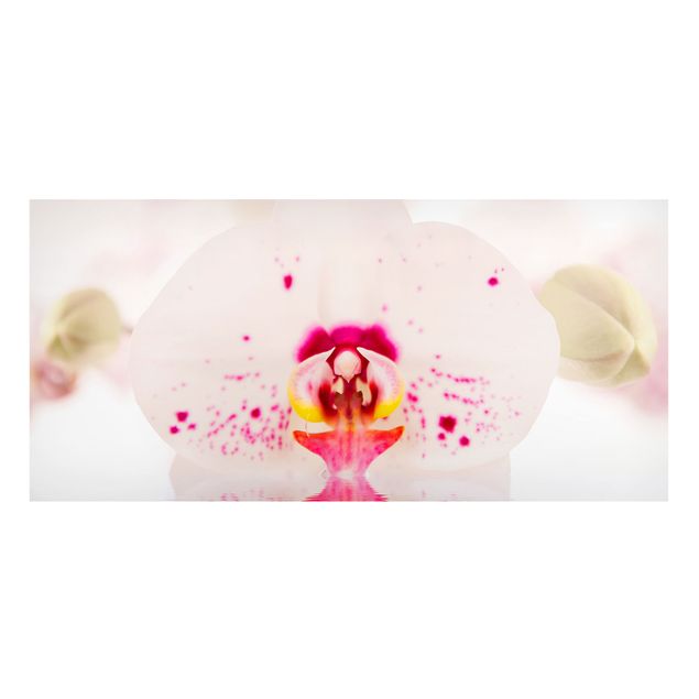 Magnettafel - Gepunktete Orchidee auf Wasser - Blumenbild Memoboard Panorama Quer