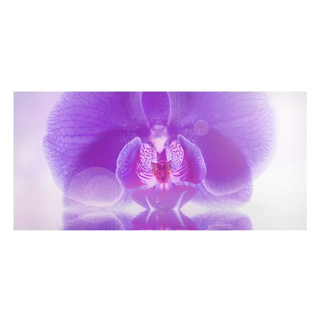 Magnettafel - Lila Orchidee auf Wasser - Blumenbild Memoboard Panorama Quer