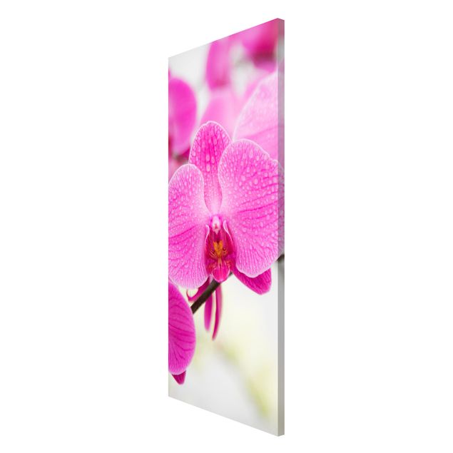 Magnettafel - Nahaufnahme Orchidee - Blumenbild Memoboard Panorama Hoch