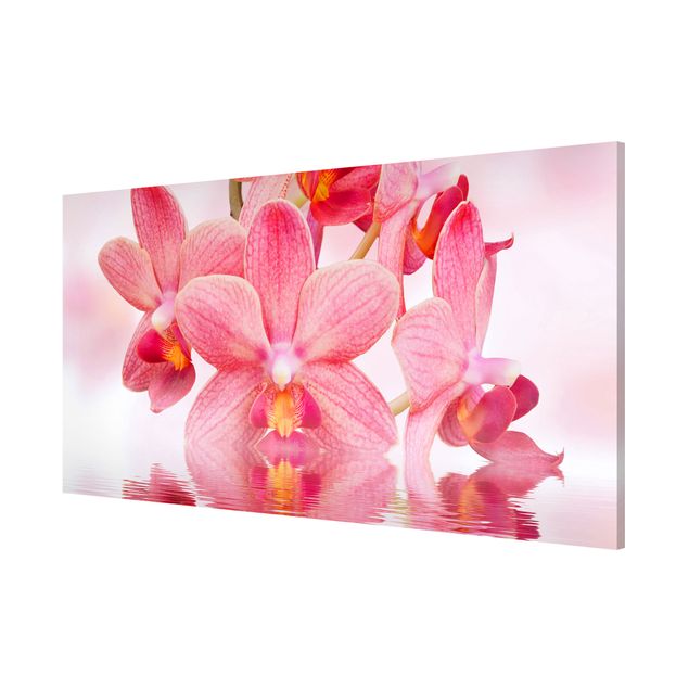 Magnettafel - Rosa Orchideen auf Wasser - Blumenbild Memoboard Panorama Quer