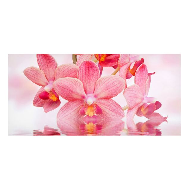 Magnettafel - Rosa Orchideen auf Wasser - Blumenbild Memoboard Panorama Quer