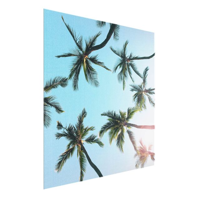 Glasbild - Palmengiganten im Himmel - Quadrat