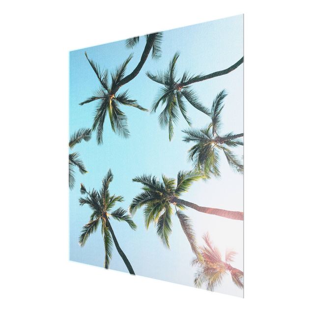 Glasbild - Palmengiganten im Himmel - Quadrat